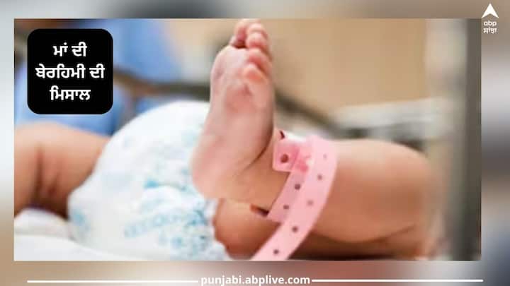 Crime News: ਵਾਸ਼ਰੂਮ ‘ਚ ਦਿੱਤਾ ਬੇਟੀ ਨੂੰ ਜਨਮ, ਫਿਰ ਖਿੜਕੀ